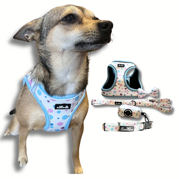 Sky Blue Harness Set