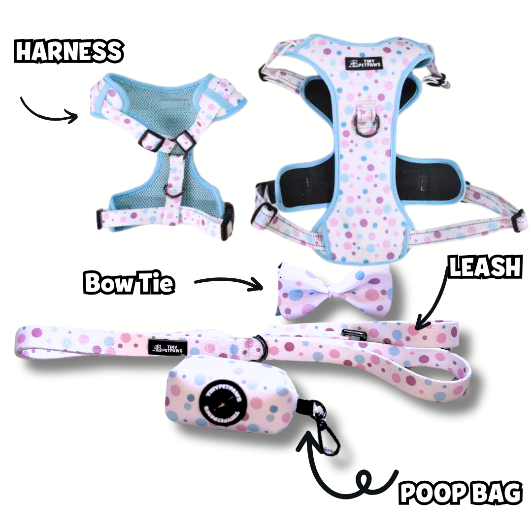 XL Sky Blue Harness Set  with Leash, Poop Bag, and bow tie