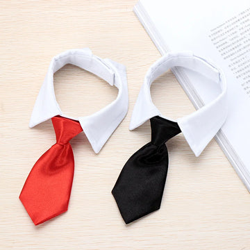 2-in-1 Pet Collar & Bow Tie Set