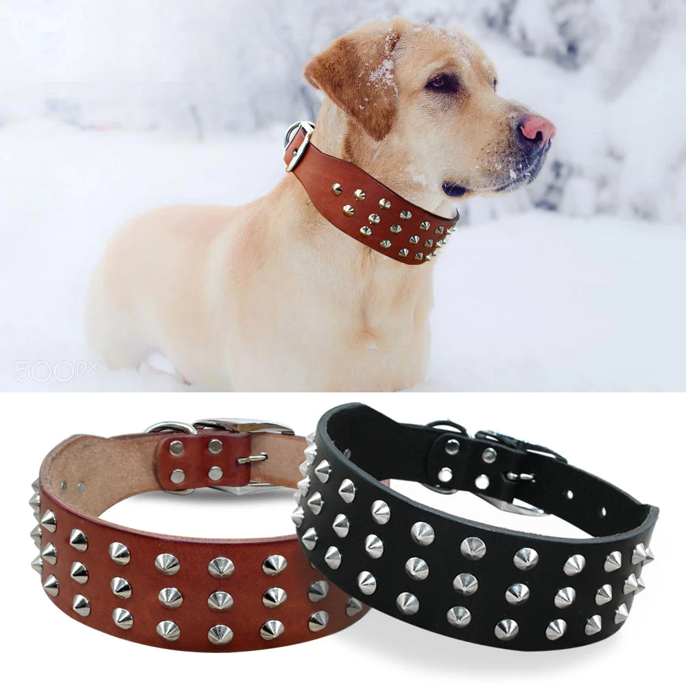 Cool Studded Genuine Leather Pet Collar