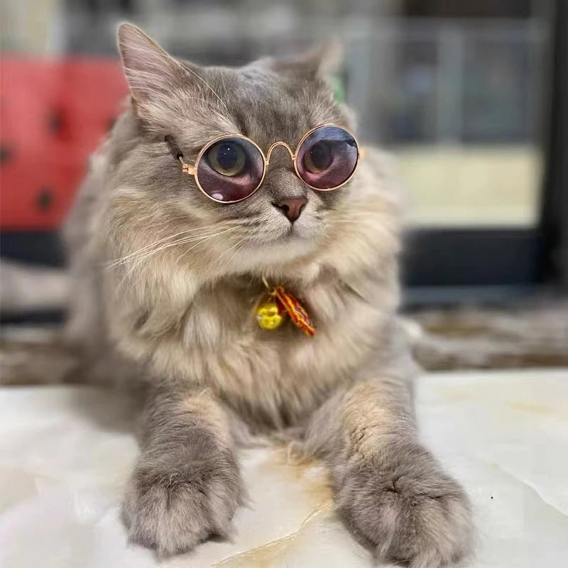 Vintage Round Pet Glasses