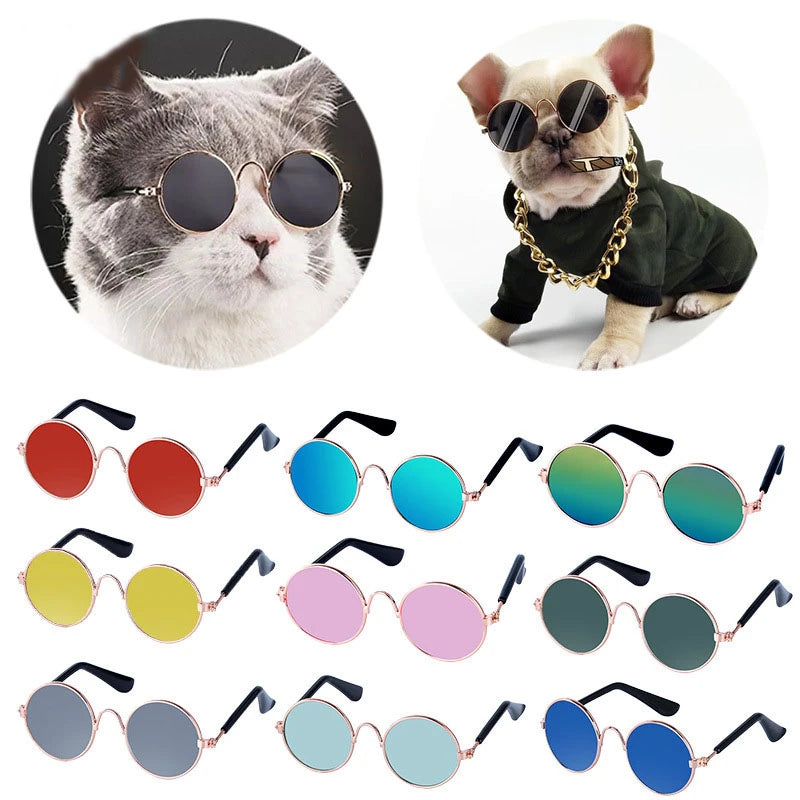 Vintage Round Pet Glasses