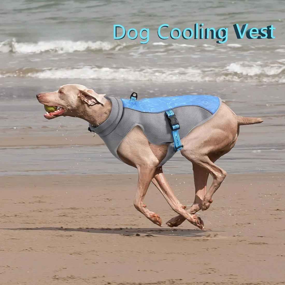 Anti-UV Lightweight Dog Jacket