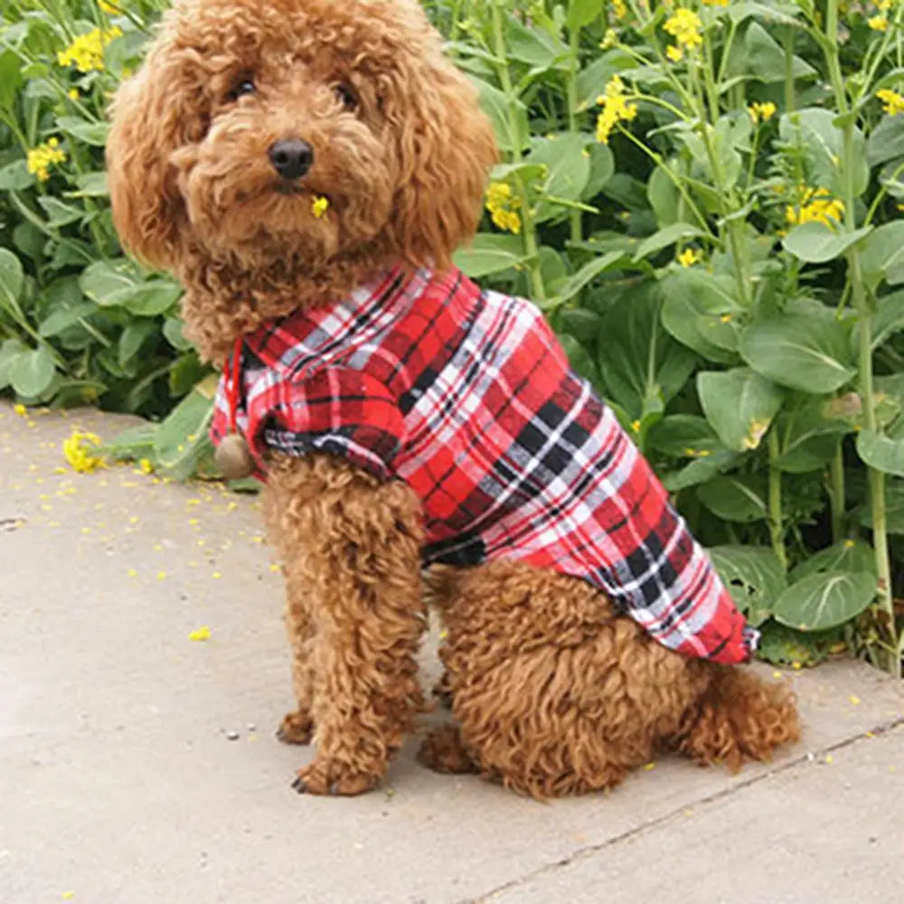 Chic Summer Plaid Pet T-Shirt