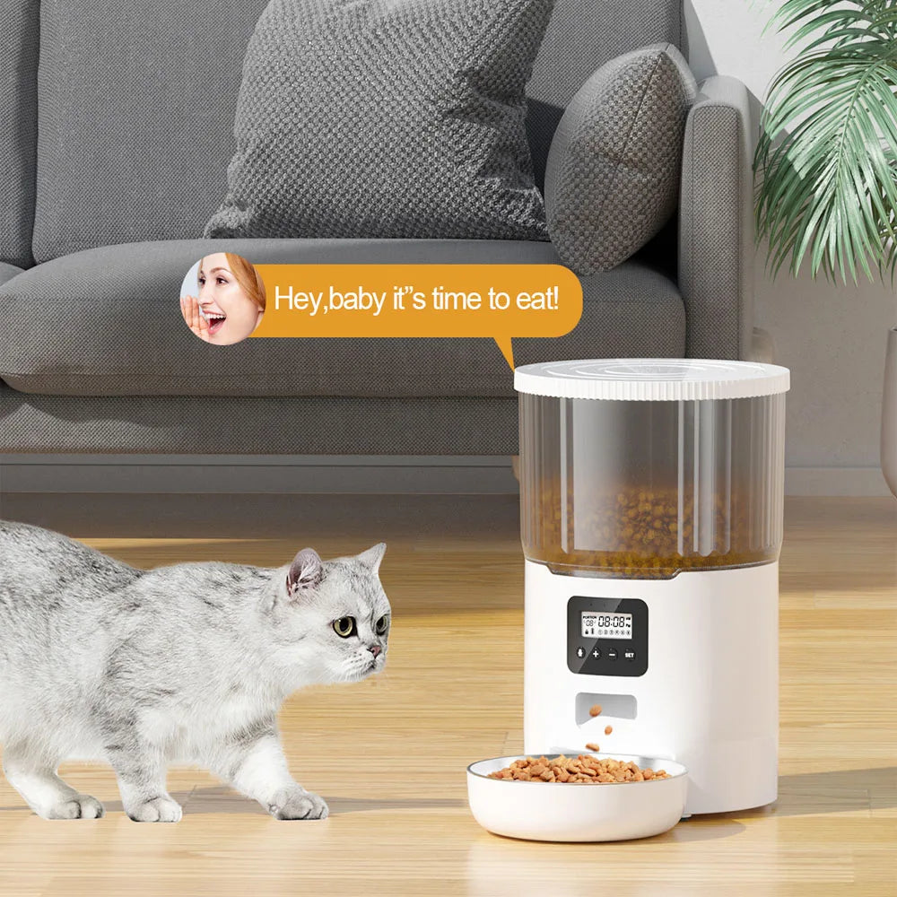 All-in-One Pet Feeder with WIFI Option