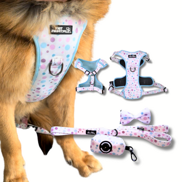 XL Sky Blue Harness Set  with Leash, Poop Bag, and bow tie